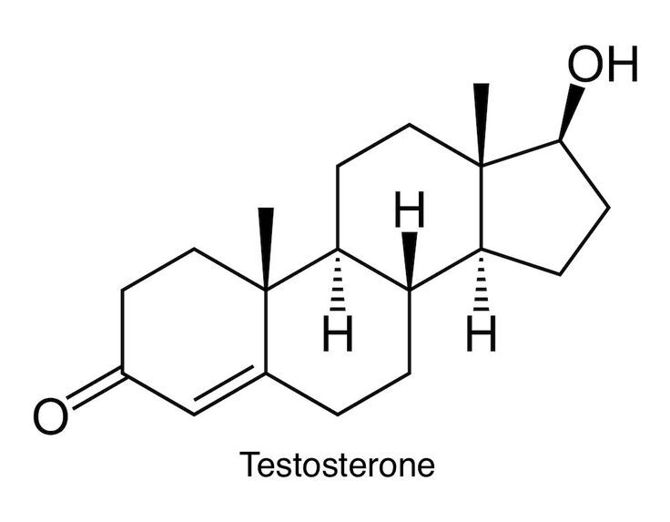 راهکارهای افزایش تستوسترون طبیعی