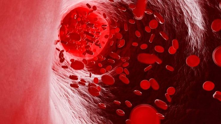  مصرف قرص آهن برای چه افرادی ضروری به شمار می‌آید؟