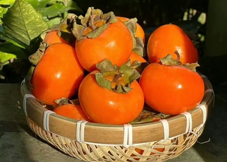 خطرات مصرف زیاد خرمالو در بارداری چیست؟